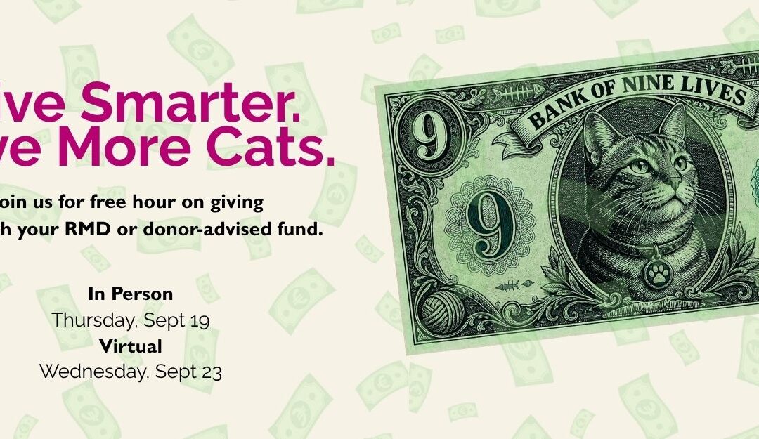 Give Smarter. Save More Cats.