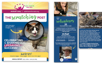 The Scratching Post: August 2025