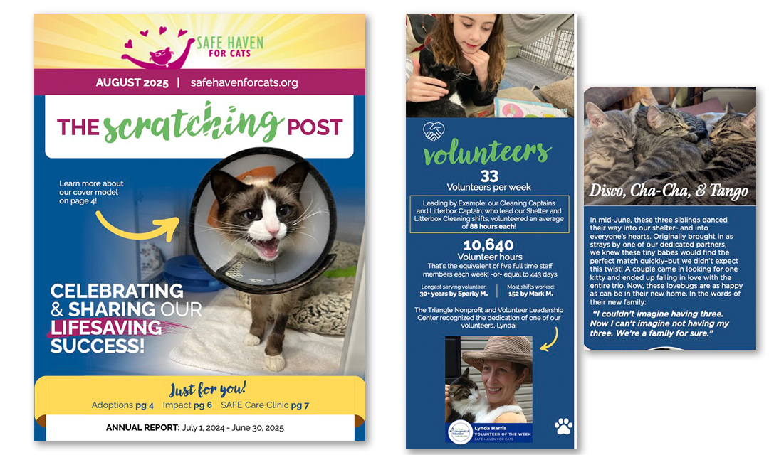 The Scratching Post: August 2025